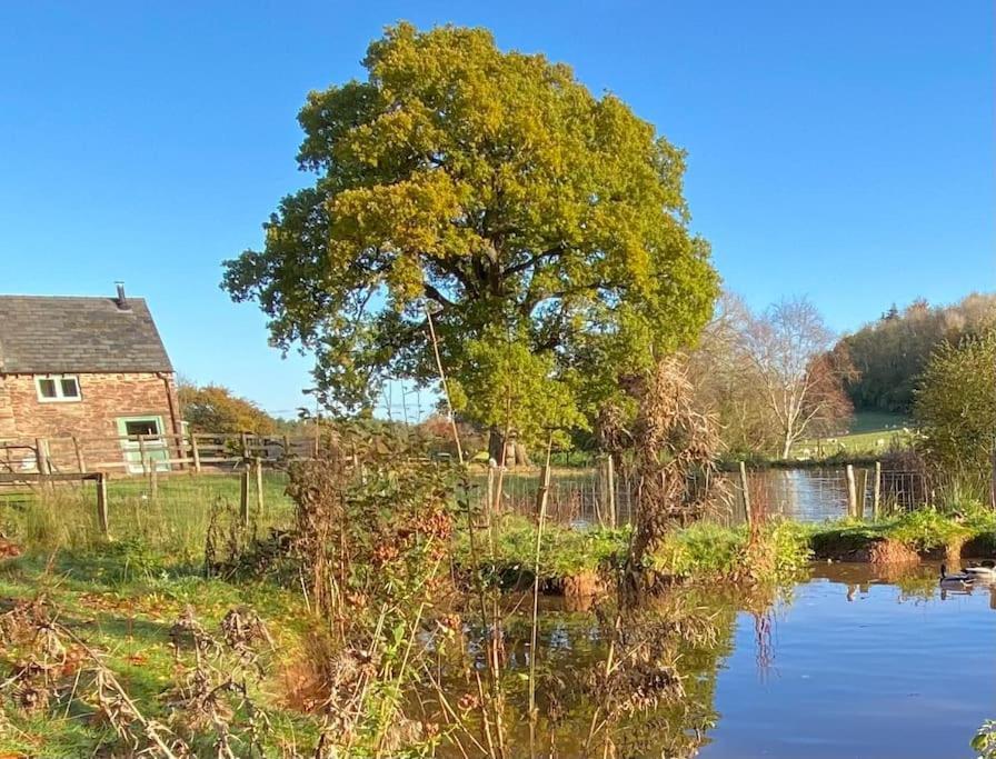 Oaklands Cottage On A Rural Farm Dingestow Buitenkant foto